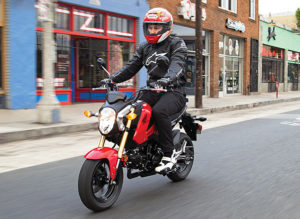 HONDA GROM