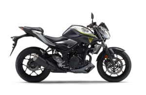 MT-25