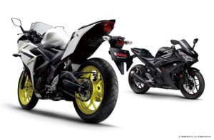 YZF-R3