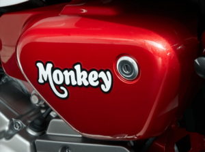 monkey125-11