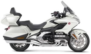 gold wing-2019-14