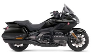 gold wing-2019-8