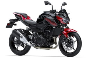 z250-2019-3